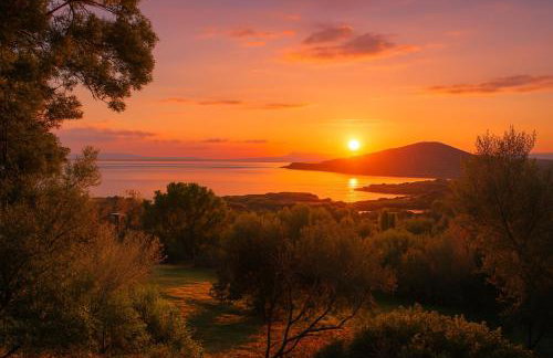 Azulik Corsica - Foto 14