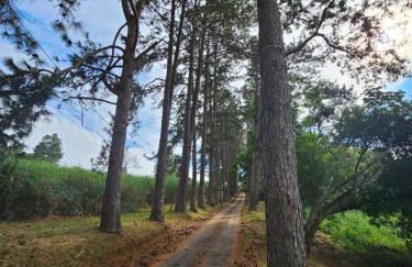 Cabana Rota do Vinho - Foto 8