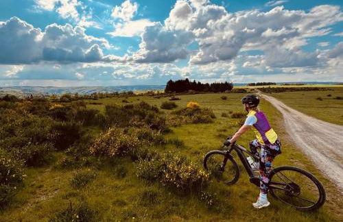 Lochhof Zwei - Eifelurlaub mit Farmcharme - Foto 48