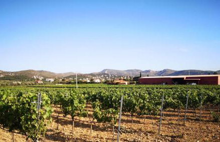 Country House in Anavyssos - Foto 10