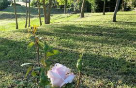 Agriturismo Bonzalone - Foto 57