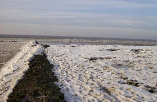 Apartment Seepferdchen by Interhome - Foto 14