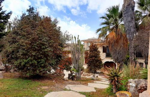 Villa del Commendatore Sirugo - Foto 21