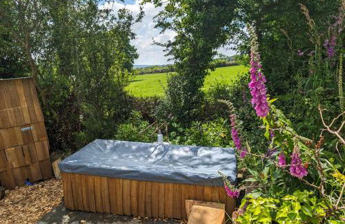 Dreckly cabin - Lydcott Glamping with Cornish sea views - Foto 17