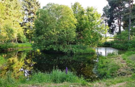 Marcassie Farm Lodges - Ash Studio - Foto 12