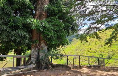 Sítio Vale Encantado - Foto 14