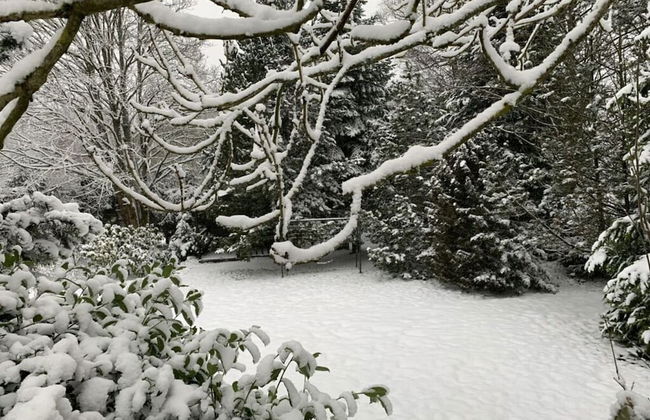 Holiday Home Harzhaus Time out - Photo 45