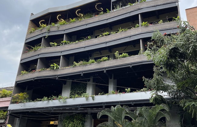 Living by Armoniko - Photo 50