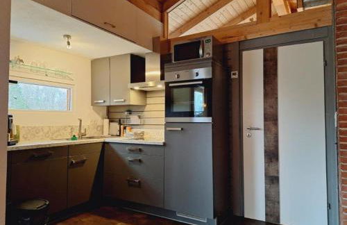 Alb Chalet mit Naturschwimmteich - Foto 6