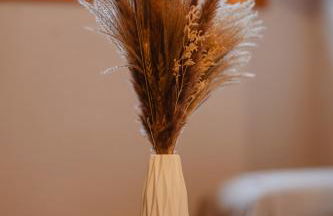 NAPAIMBE Sierra - Foto 26