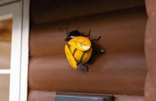 Mountain View 2 bed Log Cabin - Foto 19