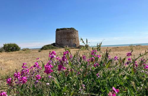 Eastbourne Long Beach View, Sovereign Harbour Apartment, Exceptional - Foto 42