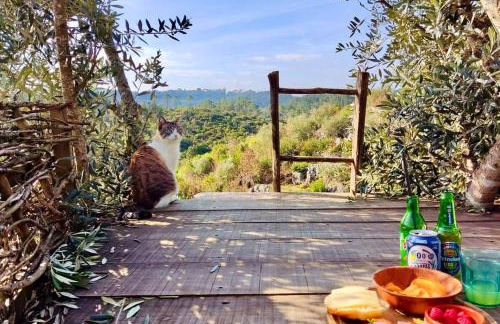 Quinta Vida Verde - Foto 9