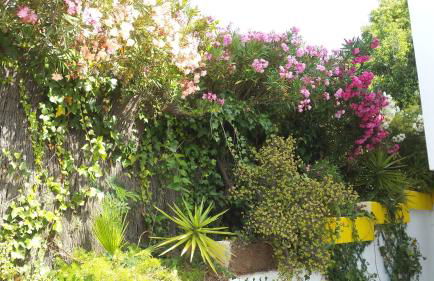 La Gaspara's Loft - Photo 57