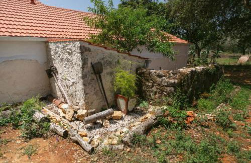 Pátio Serrano - Foto 56