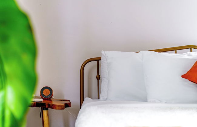 Jungle House Luxury Stays - Downtown Chillicothe - Foto 36