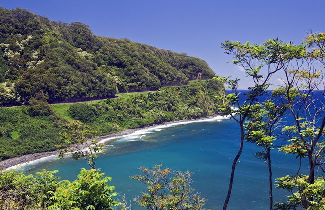 Kaleialoha 213 in Lahaina - Foto 47