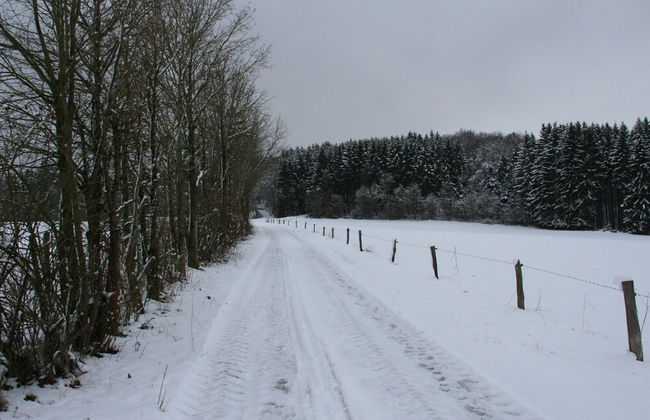 Tidy Holiday Home With Dishwasher, in a Green Area - Foto 31