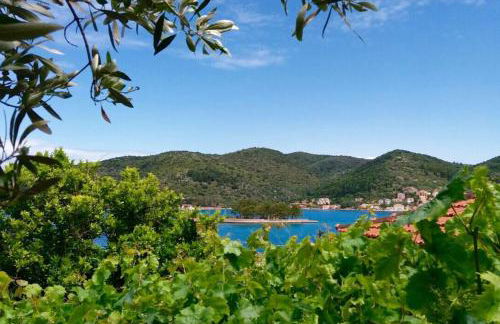 Selinofoto - A beautiful, traditional house in Vathy, Ithaca - Foto 1