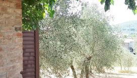 Casa dei Borghi - Foto 4