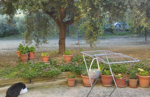 Relax al mare - Foto 8