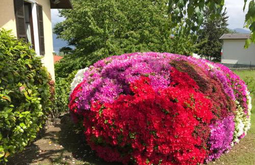 Le Betulle - Foto 56