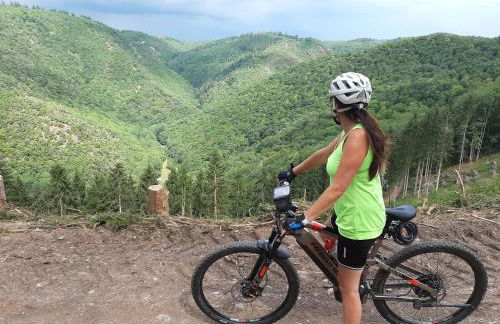 Residenz Moselstausee - Foto 70