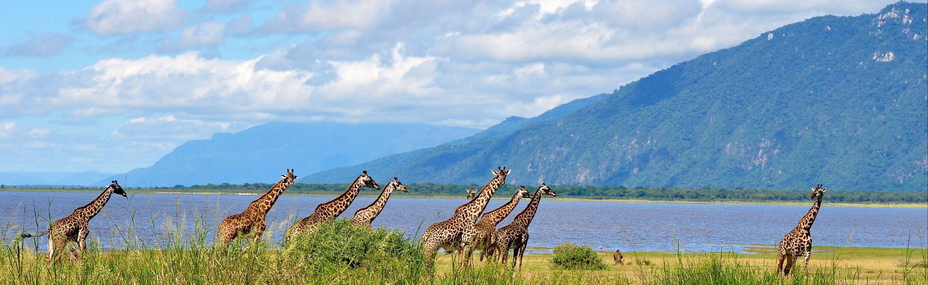 Safari al Lago Manyara