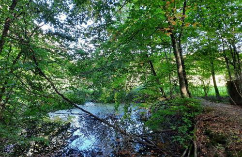 Ferienwohnung Kirschenknupp - Foto 14
