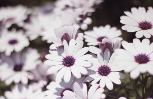 Madera y Mar (familias/parejas) - Foto 28