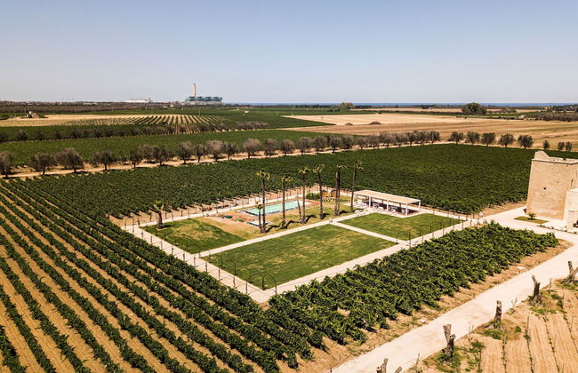 Masseria Torleanzi - Wine Relais - Photo 26