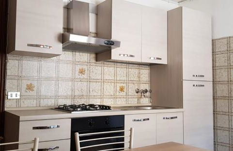 Stella alpina - Foto 13