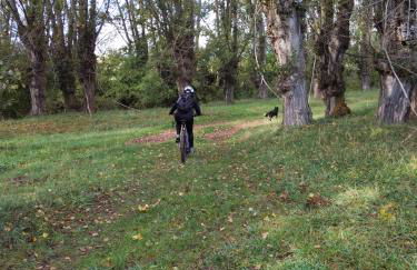 Masía Casa Rullo - Foto 20