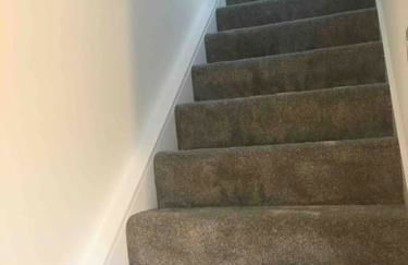 Little Oaks - Photo 16