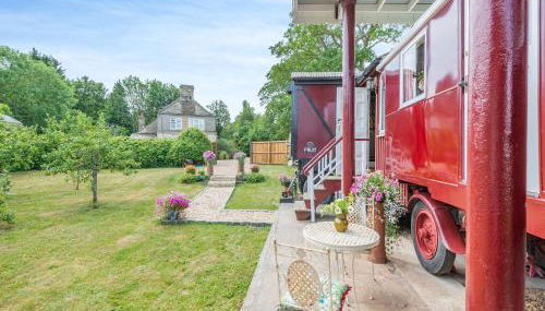 Mahalia - Photo 1, Garden