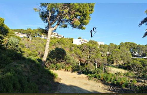 AGUILA DORADA - Foto 19