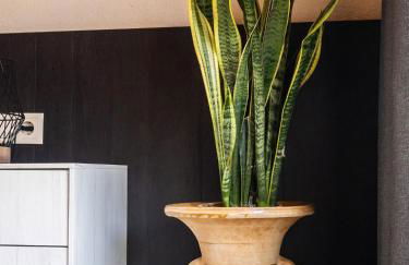 Cal Vientos - Foto 32