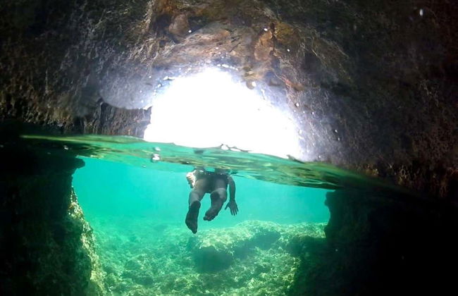 Snorkeling dans le parc naturel de Porto Conte - Photo 8