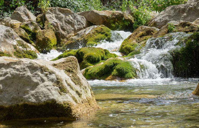 Excursão privada às cascatas de Akchour - Foto 3