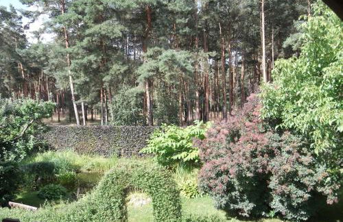 Amselgarten - Foto 51