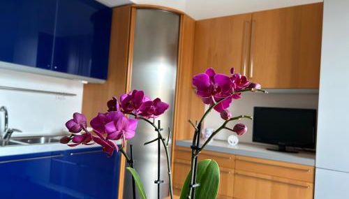 A due passi da - Photo 4