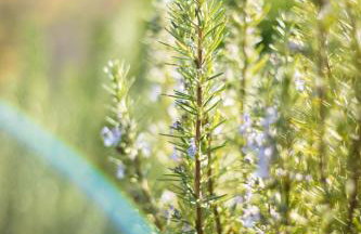 Green Hills Cottage with Pool & Magnificent View - Foto 46