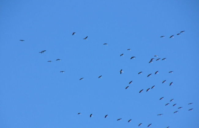 Ostenberg - Near CJD Comfortable Holiday Residence - Foto 12