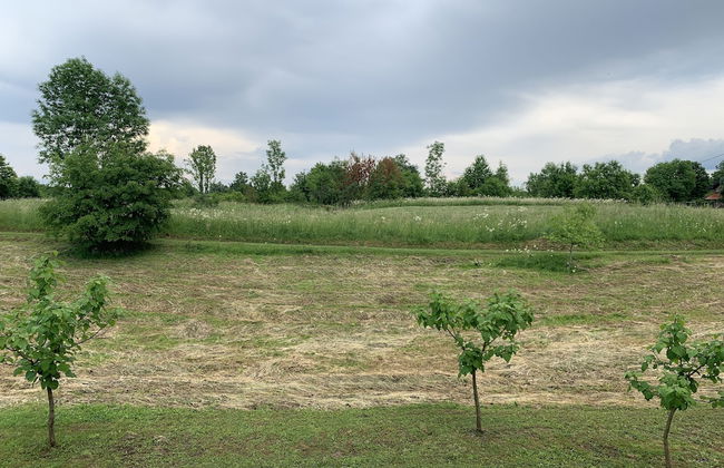 Villa Stone - Photo 20