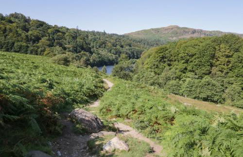 Rolo's Retreat - Foto 34