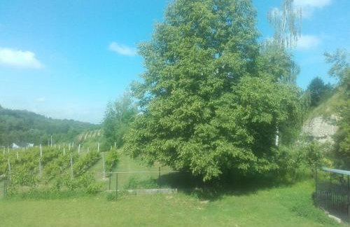 Dom w Zielonej Dolinie - Foto 13