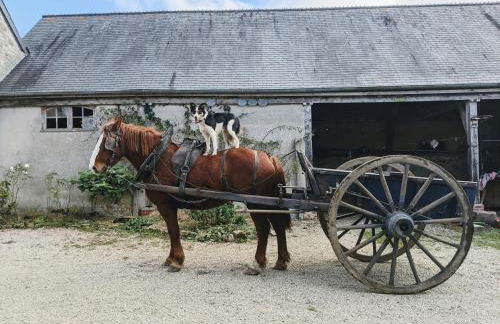 Ferme de Franqueville - Foto 27