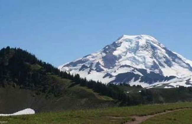 76GS - Genuine Log Cabin - WI-FI - Pets Ok - Sleeps 4 - Foto 39