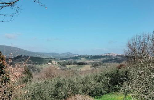 Piazza Arnolfo 1932 - Foto 28