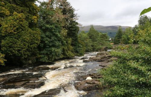 Millmore Cabin - Photo 17